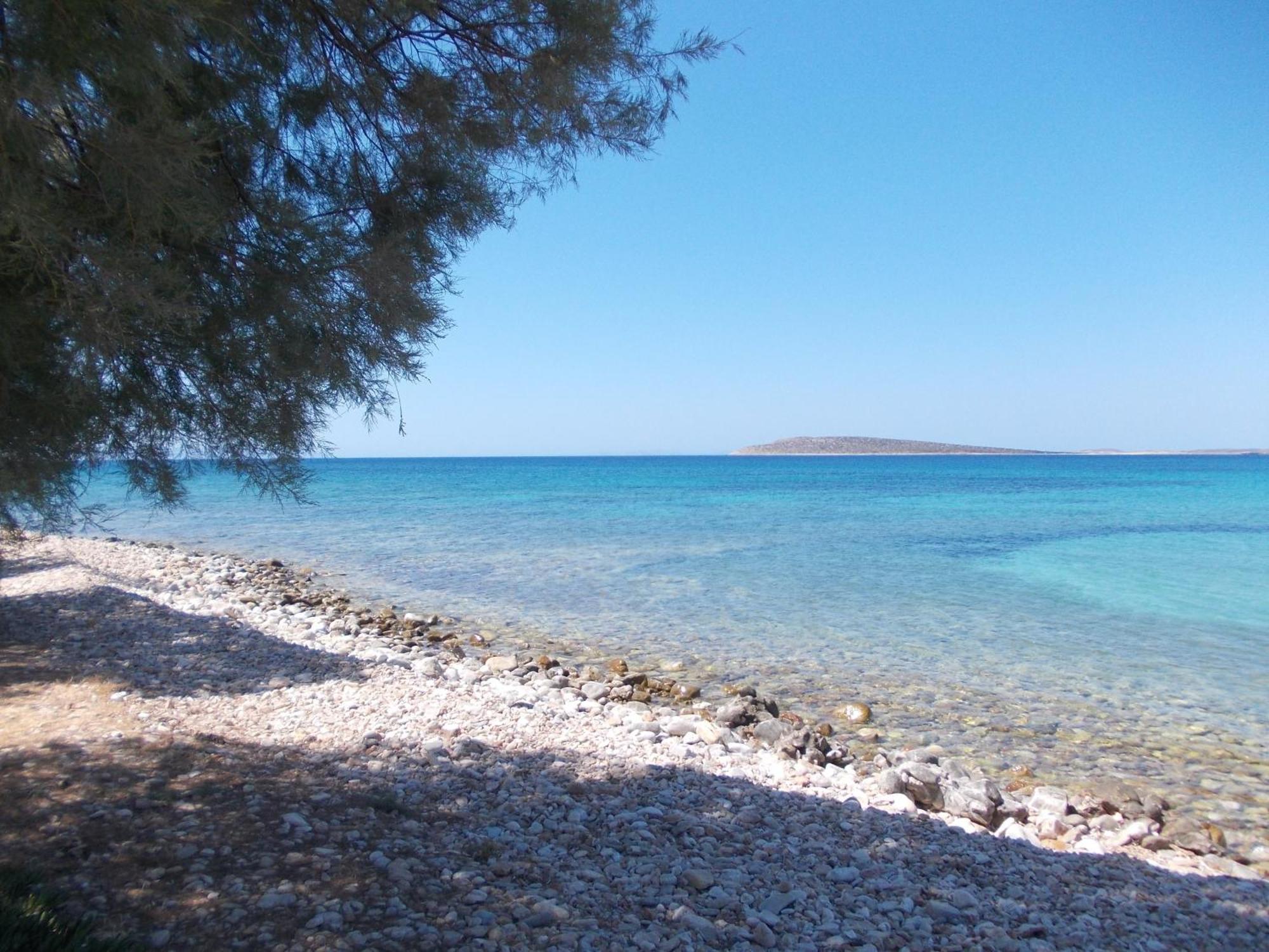 Apartment Right On The Beach- Beachfront-best Unit -paros *