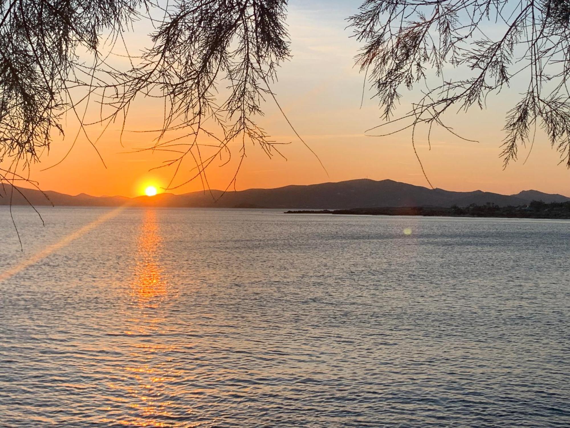 Appartamento Right On The Beach- Beachfront-best Unit -paros